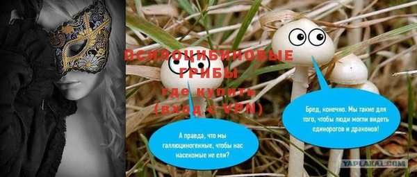 стафф Алзамай