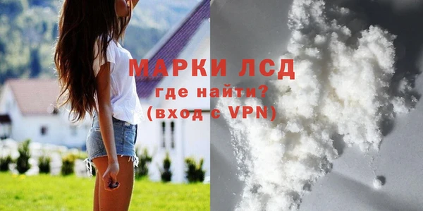 стафф Алзамай