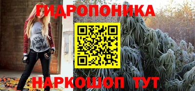 spice Кунгур