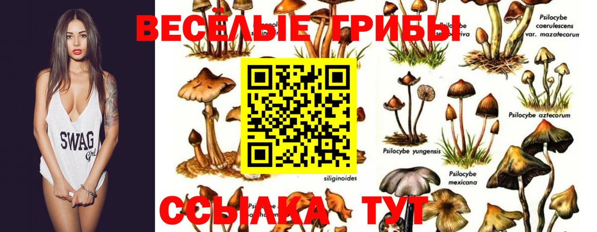 Дедовск  Галлюциногенные грибы Psilocybine cubensis  дарнет шоп  Вход с VPN 